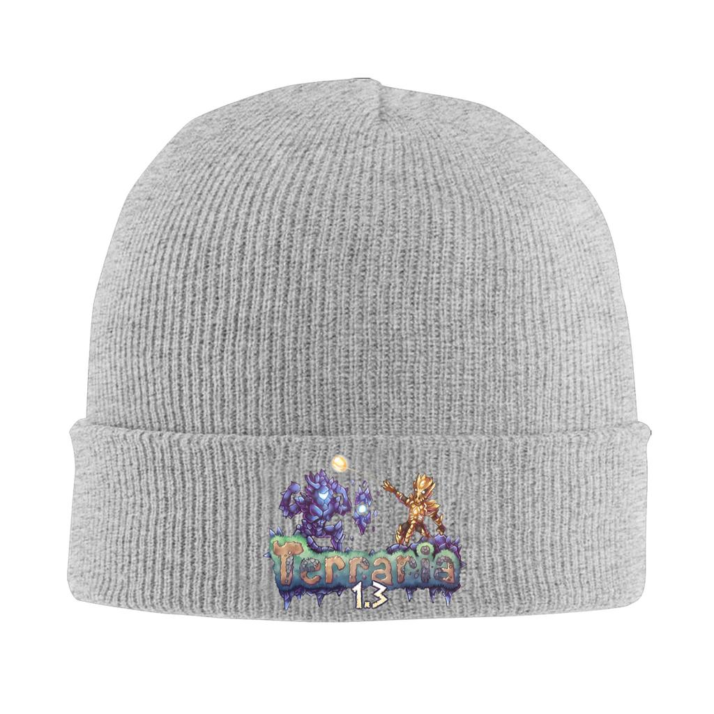 Great Model Terraria Game Christmas Bonnet Hats Beanie Hats Autumn Winter Graphic Knit Hat Street Y2K Men Women Sport Warm Cap
