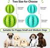 Puppy Teething Chew Clean Toy Balls Interactive Dog Treat Dispensing Ball Rubber Small Pet Enrichment Brain Stimulating Games