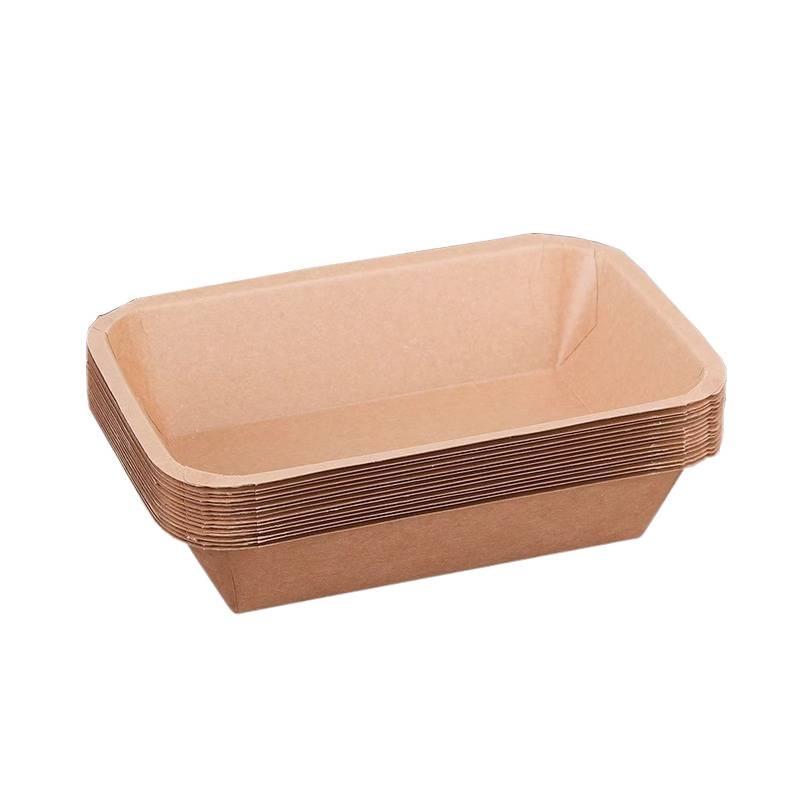 Disposable Kraft Paper Tray for Picnic and BBQ Snacks