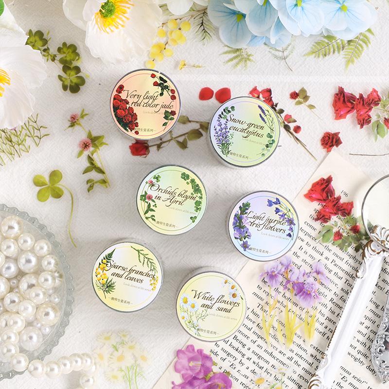 50mm*2m PET Flowers Plant Decorative tape Stick Labels Adhesive Diy Diary Album Scrapbooking material Craft Supplies tape set