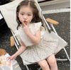 Girls' Suit Summer   Children's Summer Dress Baby Girl Fashionable Children's Top+Skirt Two-Piece Set