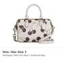 Coach Rowan Refined Cow Leather One Shoulder Handbag Mini Women's Silver & Chalk CCZ20-SVCAH