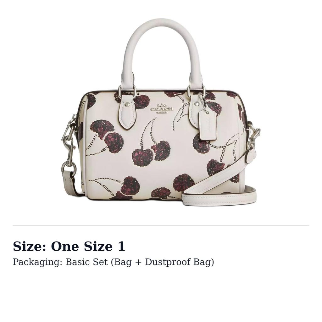 Coach Rowan Refined Cow Leather One Shoulder Handbag Mini Women's Silver & Chalk CCZ20-SVCAH