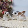 Simulation Plush Rabbit Toy Cute Mini Bunny Cute Car Accessories for Girls Car Decoration Automoblie Ornament Anime Car Decor