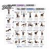Poster Istruzioni Sollevamento Pesi 2 Pezzi Grafico Allenamento Manubri Esercizi Full Body Esercizi Parte Superiore Inferiore Arte da Parete Allenamento della Forza