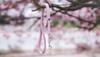 Hexa City Dog Leash, Width , S, /Lilac