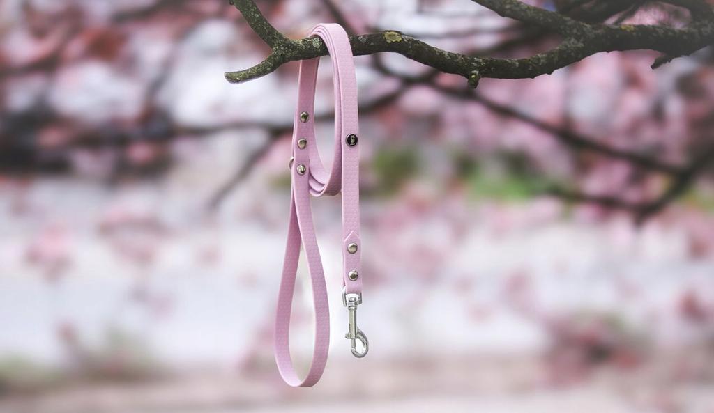 Hexa City Dog Leash, Width , S, /Lilac