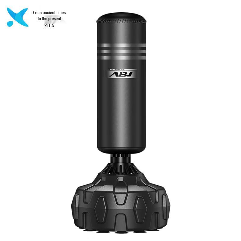 Xilai Standing Punching Bag with Gloves