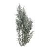 Daichi Farm Preserved Flower Blue Ice Wash White Approx. L35.0~50.0cm 100g DO001260-012