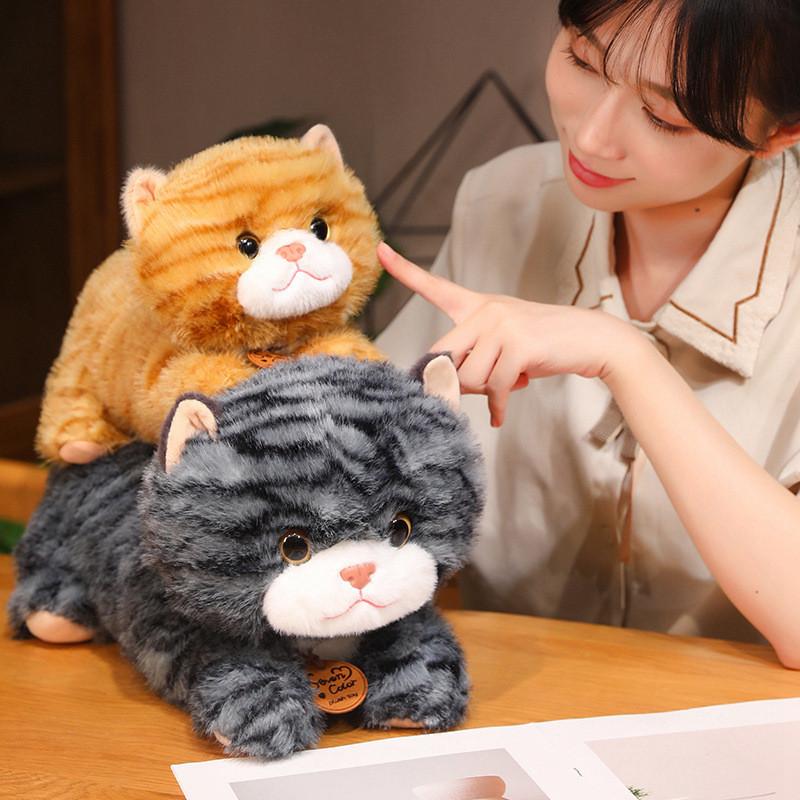 Cat Plush Cute Toys Cartoon Girl Children Bedroom Decoration Presents Dolls