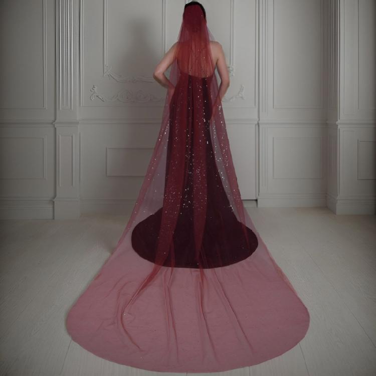Delicate Lace Tulle Bride Veil Overlength Gilding Veil for Woman Marriage