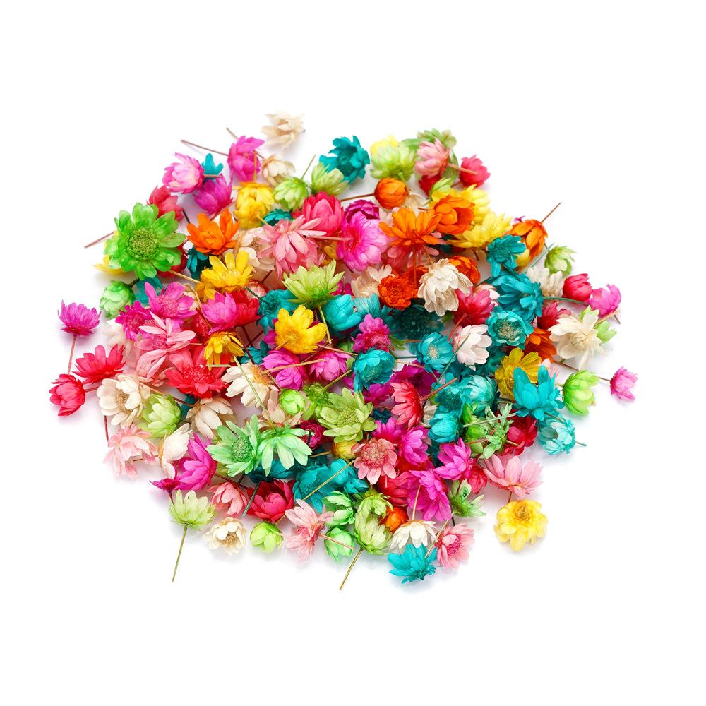 5mm~ 8mm Bags of Dried Flowers, Natural Little Star Flower Head, Handmade DIY Group Fan Crystal Epoxy Decorative Dried Flowers
