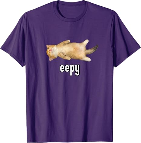Eepy Cat Silly Sleepy Cat Meme TShirt Womens Fashion Kitty Lover Graphic Outfit Cartoon Comics Street Saying Tee Unique Gift