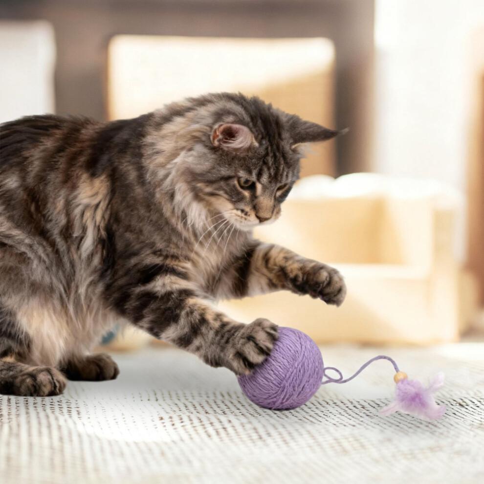Interactive Cat Teaser Ball with Feather Tail, Rattle Stones & Non-Fading Rope – Durable, Safe, Compatible with All Cats