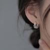 Elegant Double-Layer Silver Earrings for Women – 2025 Trendy High-End Design
