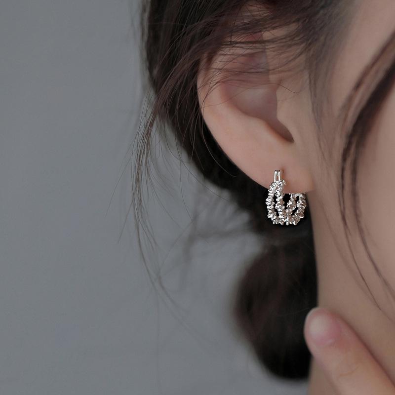 Elegant Double-Layer Silver Earrings for Women – 2025 Trendy High-End Design