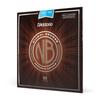 Acoustic Guitar Nickel Bronze Balanced Tension D'Addario Strings, Light, .012-.052, NB1252BT,