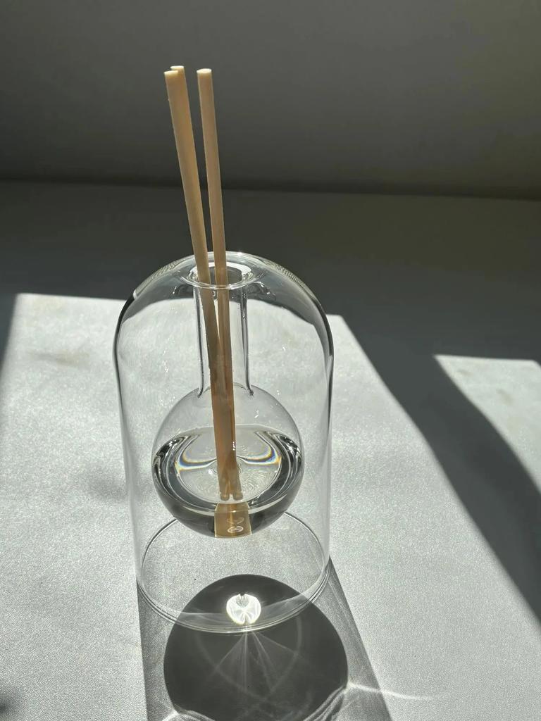 Aromatherapy Diffuser Bottle Glass Essential Oil with Diffusers Sticks Storage Containers Transaprent Modern Home Decorations