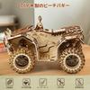 Hallisun 3D Wooden Puzzle for Adults Assembly 3D Beach Buggy Car Moving Mechanical Craft DIY Mechanical Wood Puzzle Toy Hobby Christmas Day Vintage