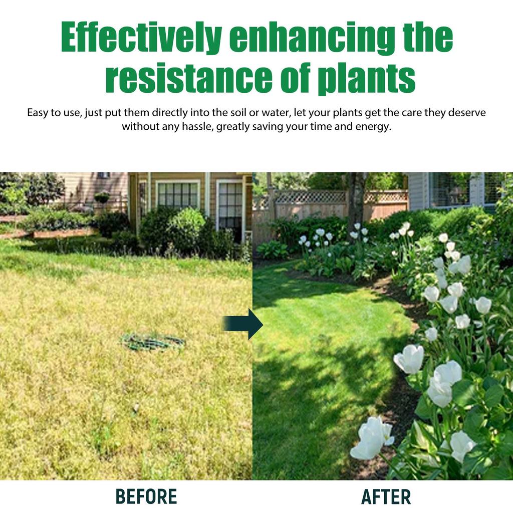 Moonspry Plant Growth Tabletka o przedłużonym działaniu, doniczka, wzrost włosów, korzeni, odżywianie, tabletka pielęgnacyjna