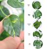 Artificial Pothos Vines: Indoor Decorative Rattan Faux Greenery for Walls and Living Rooms