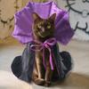 Capa de Halloween para Animais de Estimação Fantasia Capa de Mago Ajustável Roupa Cosplay de Gato Acessórios para Festa de Halloween para Cães e Gatos de Pequeno e Médio Porte