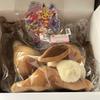 [USED] Birthday Box Plush Toy Life-Size Eevee Lying Down with Bonus Included Pokemon