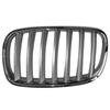 Grilă Compatibilă BMW X5 E70, X6 E71/E72 51137185223/51137185224