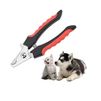 Köpek – Köpek bakım ürünleri