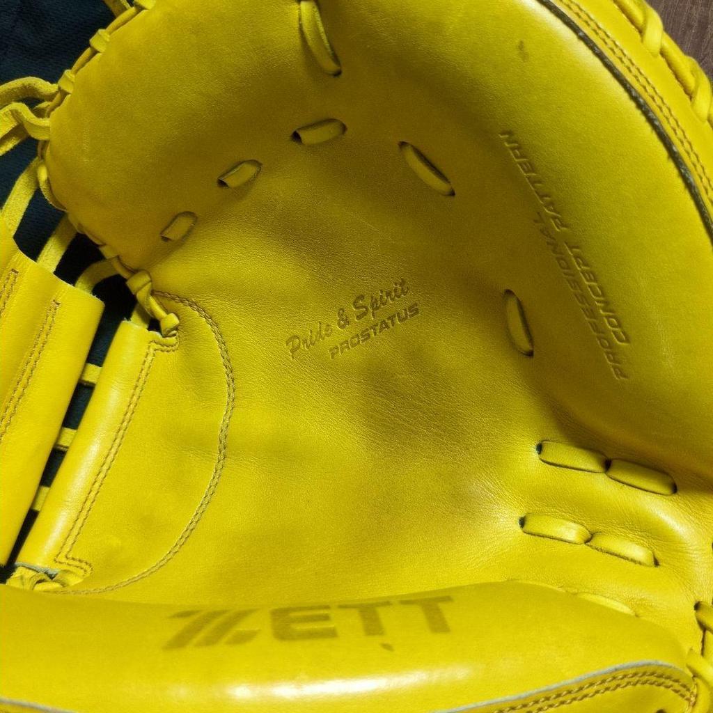 Used ZETT PROSTATUS Catcher's Mitt Hard Glove