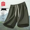 Men's Summer Quick-Dry Sport Shorts