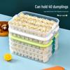 Home Dumpling and Wonton Freezer Box: Multi-layer Transparent Storage for Fresh-Keeping