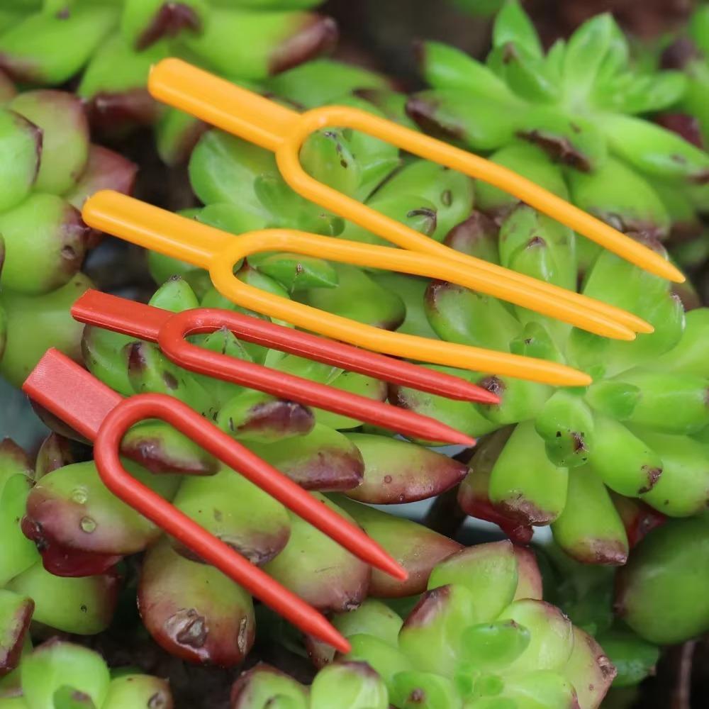 100pcs Garden Strawberry Planting Forks 50/65CM Vine Fixing Fixture Reusable Plant Stem Fixator