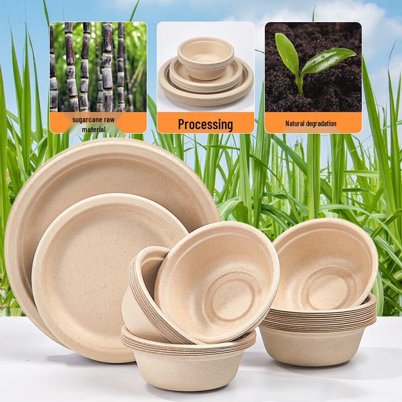 Biodegradable Round Paper Plates