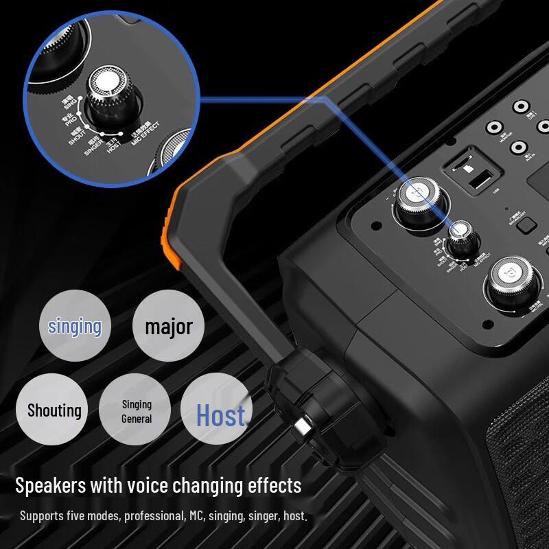 Beide BD-H0887S Portable KTV Speaker with Built-in Sound Card