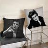 1Pc Actor Joe Cool Keery Pillow Case Fashion Square Pillowcase Bedroom Sofa Room Ins Decoration Leisure