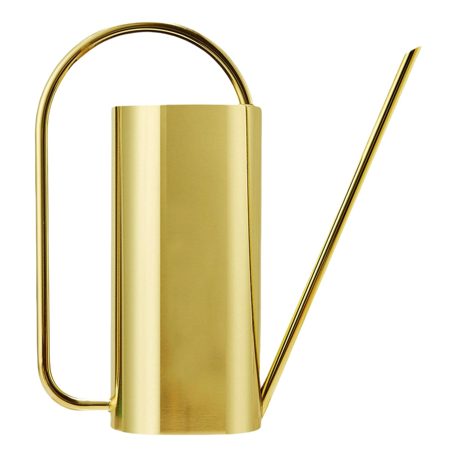 

Лейка из нержавеющей стали, емкость 51 унция, лейка для комнатных растений, длинный узкий носик для целенаправленного полива золотой