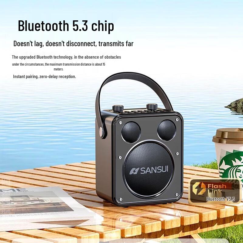 SANSUI D71 Portable Karaoke Bluetooth Speaker