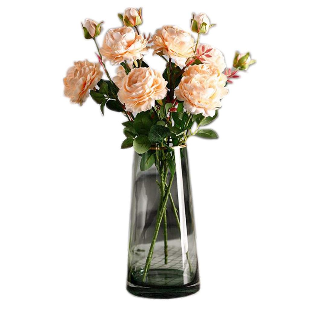 22cm Glass Vase, Transparent Glass Bottle, Nordic Style, Ideal for Arranging Flowers, Hydroponics, Ikebana, and Artificial Flowers, Stylish and