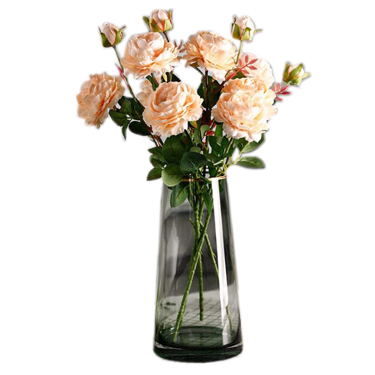 

22cm Glass Vase, Transparent Glass Bottle, Nordic Style, Ideal for Arranging Flowers, Hydroponics, Ikebana, and Artificial Flowers, Stylish and