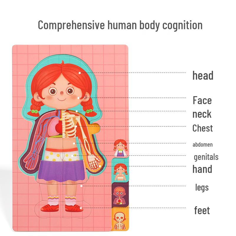Cartoon Body Puzzle: Fun Educational Toy for Children's Cognitive and Concentration Development
