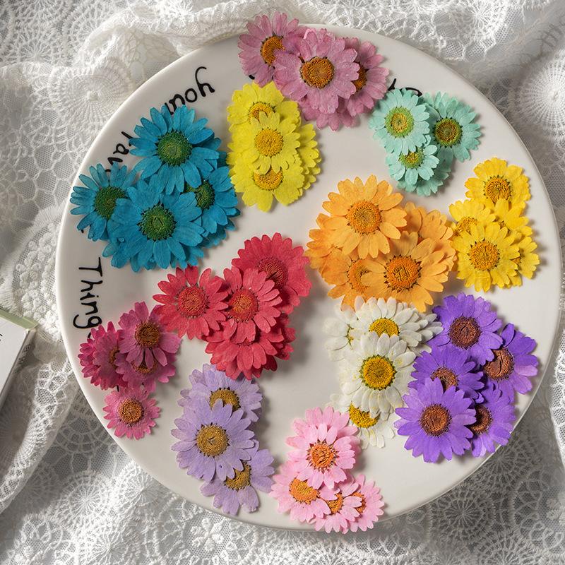 12 PCS/Set Pressed Dried Flowers for Scrapbooks Making Natural Flower For Epoxy Resin Pendant Necklace Jewelry Making Craft