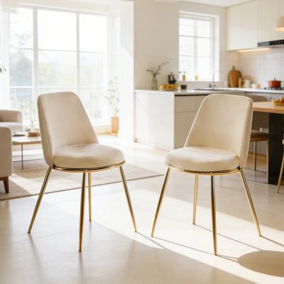 Modern Cream White Dining Chair(set of 2 ) - Gold-Plated Metal Legs, Velvet Upholstery
