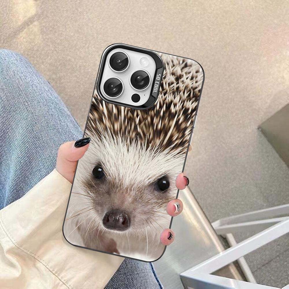 

Cute Animal Hedgehog Phone Case For IPhone 16 15 14 13 12 11 Pro Max X XR XSMAX 8 7 Plus Matte Shockproof Back Cover iPhone 13