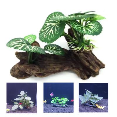 Fische & Meerestiere – Aquarien-Einrichtung