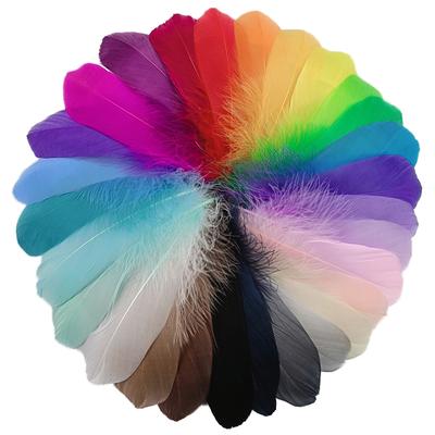 20Pz Piume d'Oca Colorate 5-7 pollici/12-18 cm Piume di Cigno Accessori per Artigianato Decorazione Matrimonio Artigianato Fai da Te Decorazione Festa di Carnevale