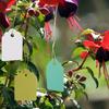 300Pcs Plastic Plant Labels Reusable Garden Plant Labels, Plant Labels Plant   s Garden Plant Name Labels