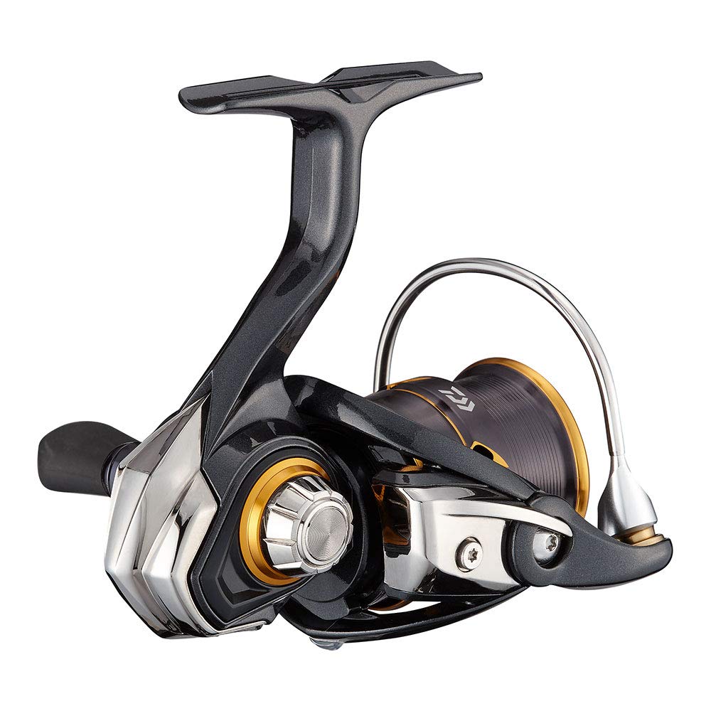 Daiwa Spinning 21 Caldia FC LT1000S
