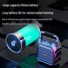 Newsmy K99 Portable Bluetooth Karaoke Speaker (CN Version)