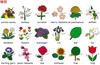 English word cards Flashcards, (Plants) B5 size